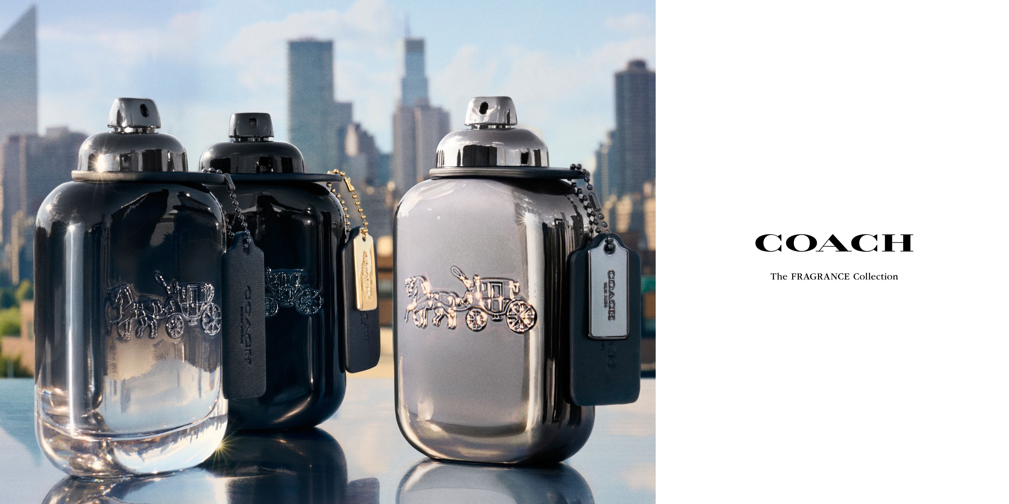 MY_195_Coach_BB-4_Web_BN20261002138669_Hero-Skus|Pure-Platinum-Trio_2026