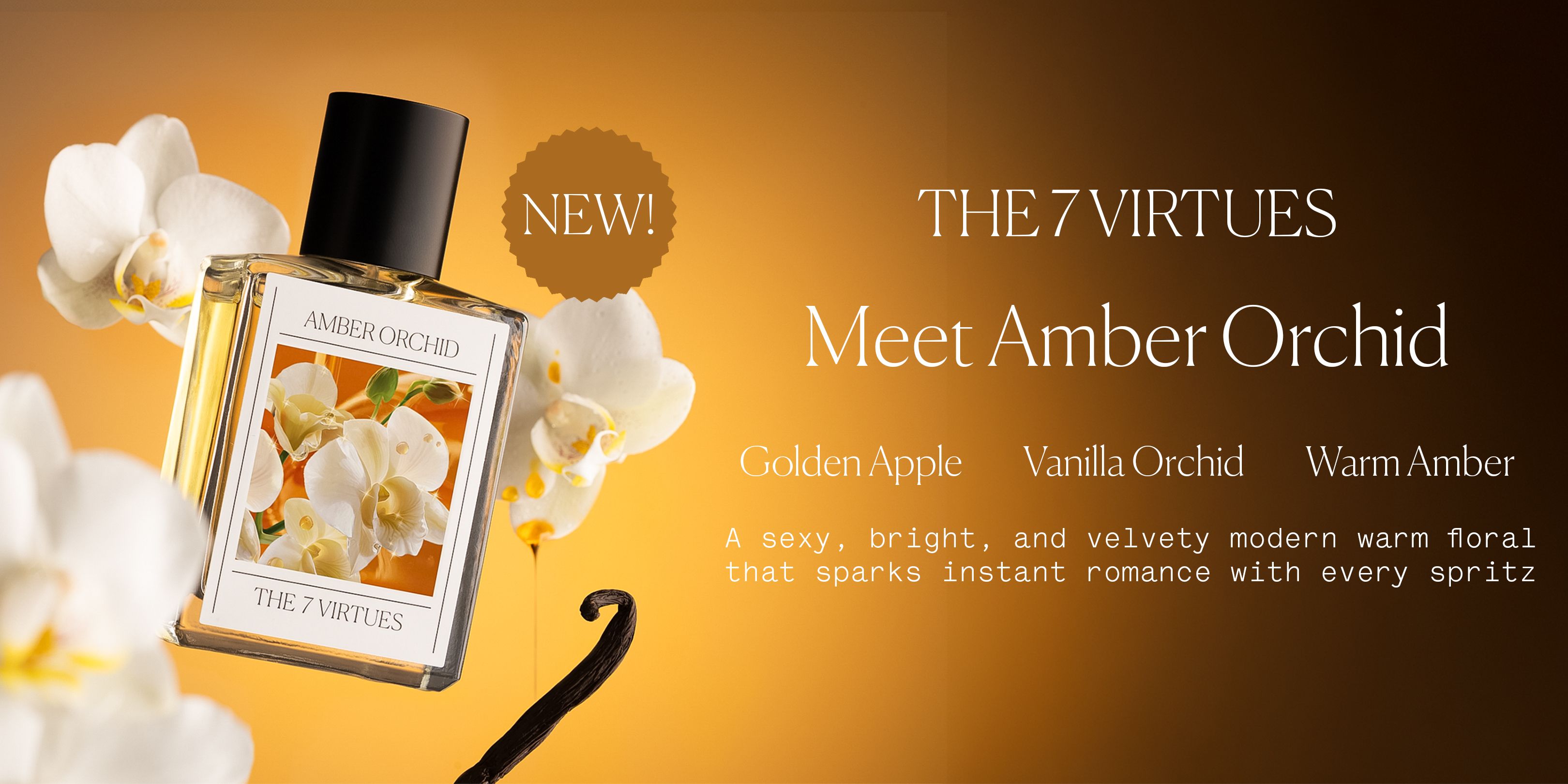 AU__7-Virtues_BB-1_Web_BN20260727132588_Product-Launch|Amber-Orchid_2026